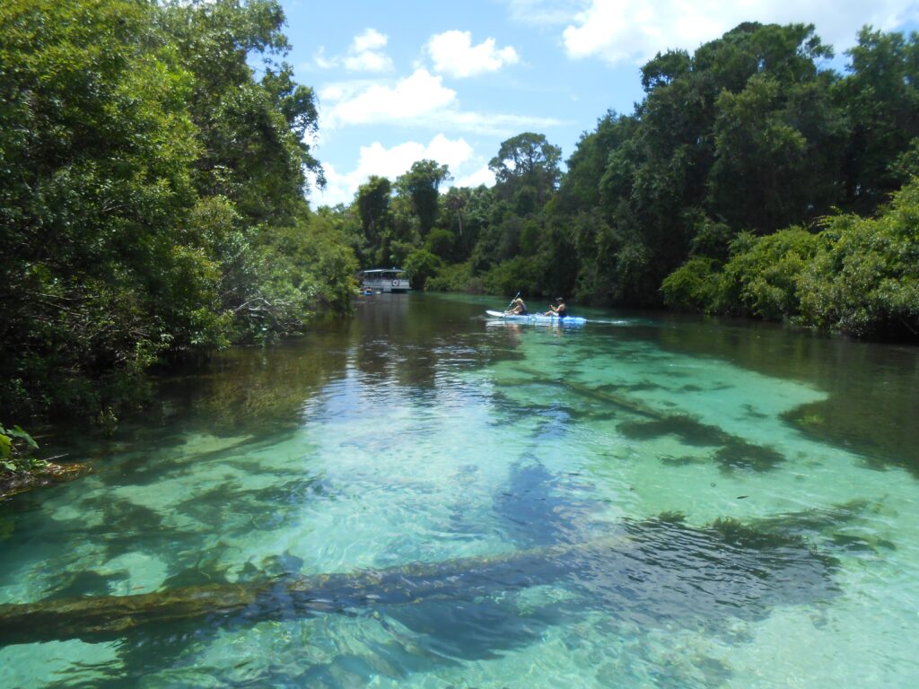 The Winding Weeki Wachee River