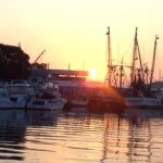 Famous Tarpon Springs Sponge Docks