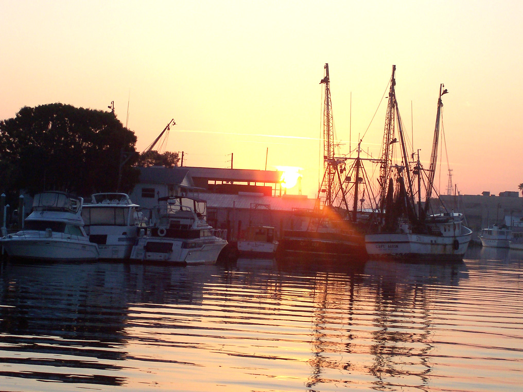 sponge docks sunset cruise