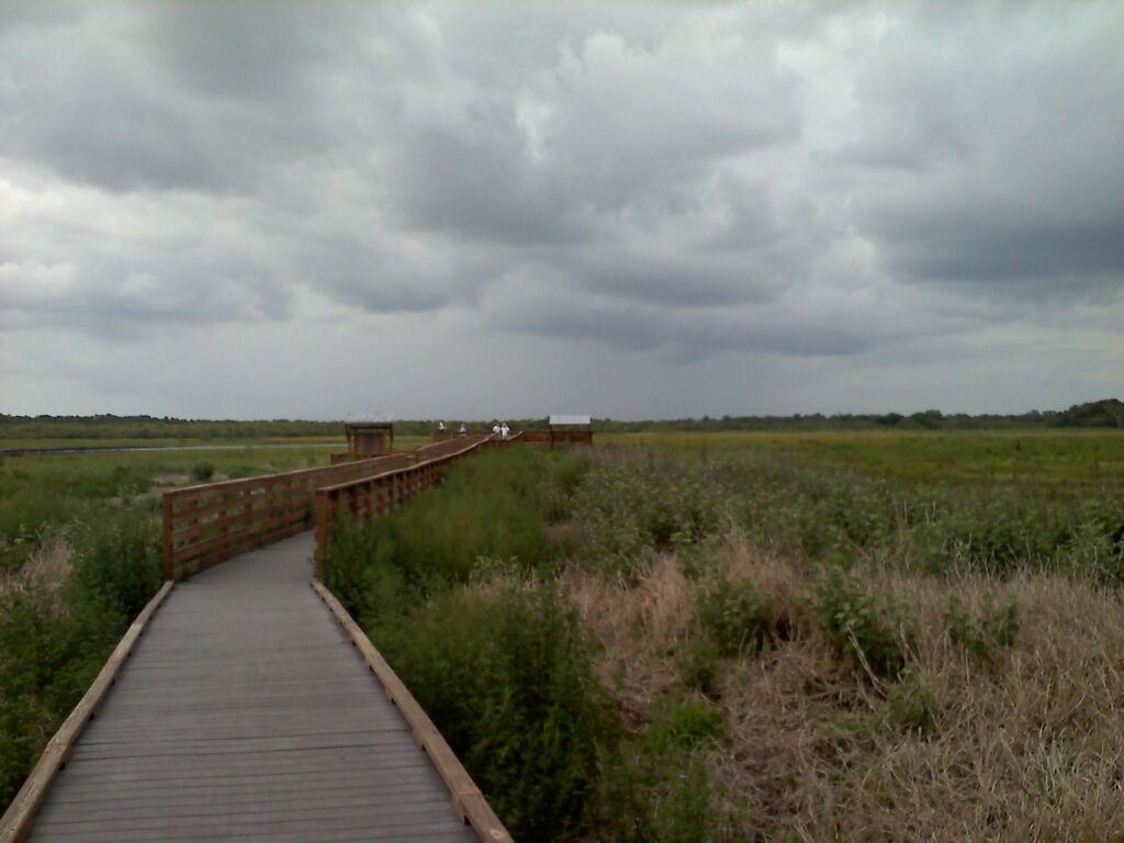 Myakka – Gateway to the Everglades!