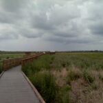 Myakka – Gateway to the Everglades!