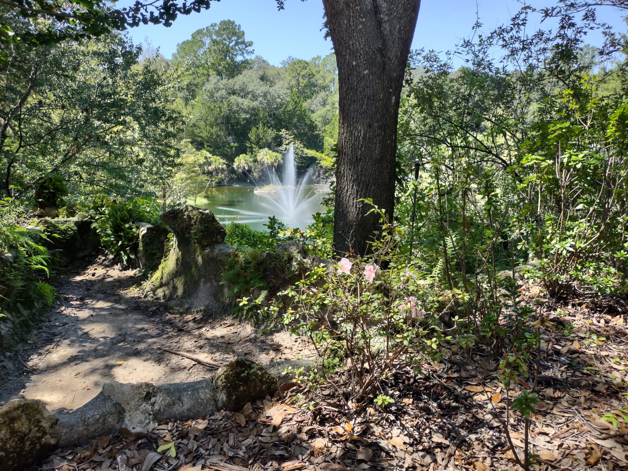 Cedar Lakes Woods and Gardens – Exploring Florida and More